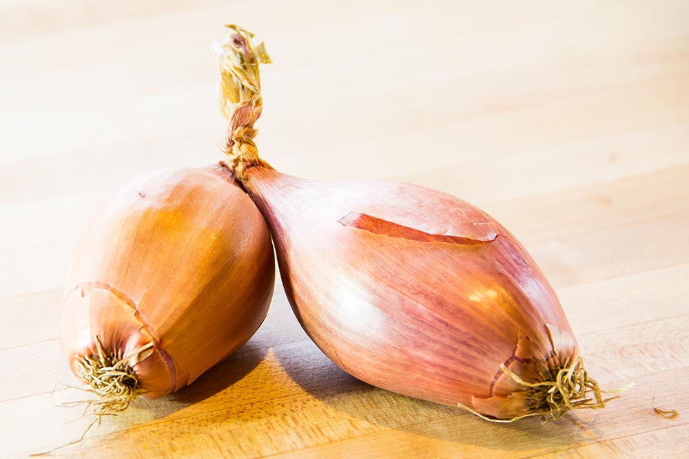 Two Large Shallots