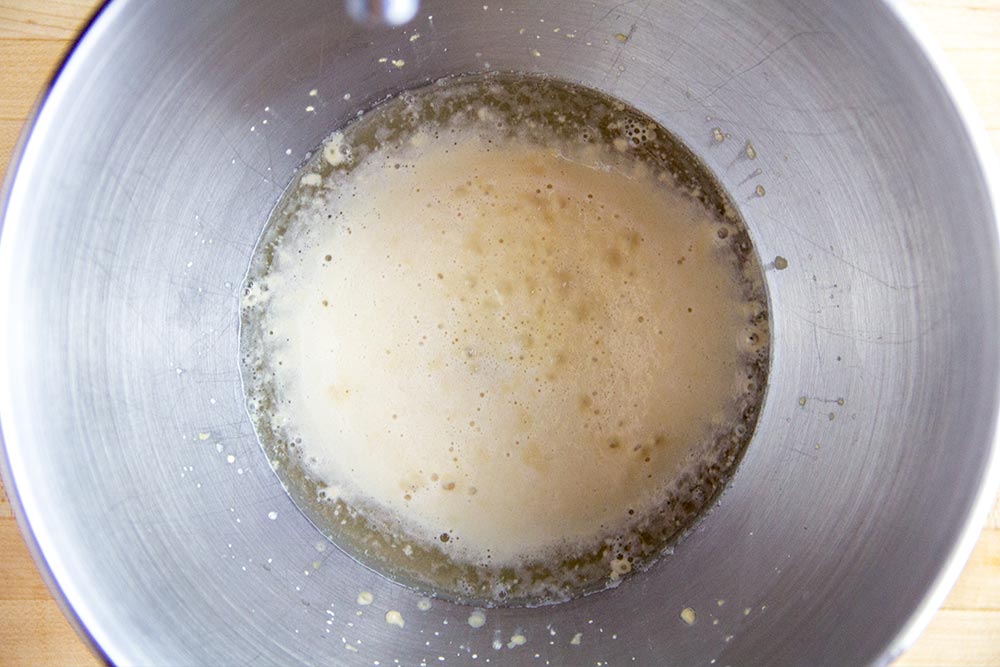 Proofed Active Dry Yeast in Mixing Bowl