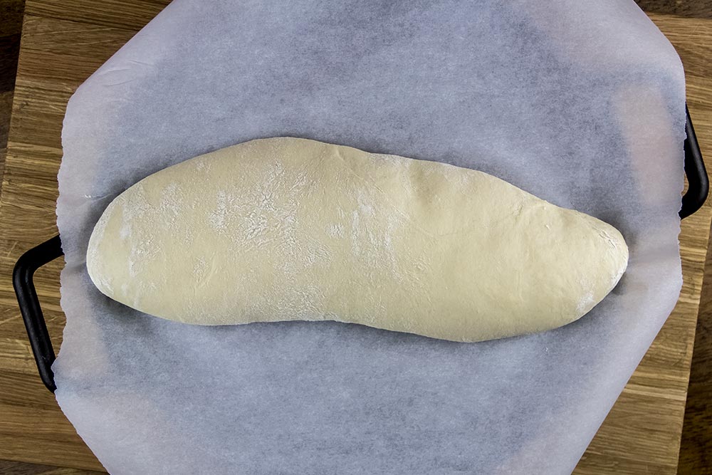 Risen Bread Dough