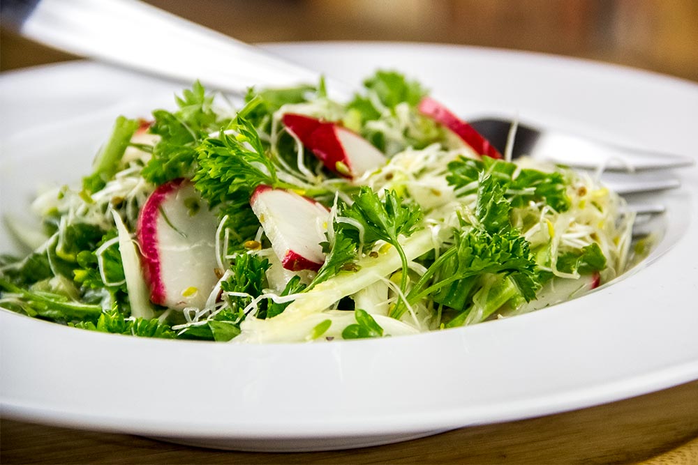 Fennel, Herb & Sprouts Salad with Lemon Vinaigrette